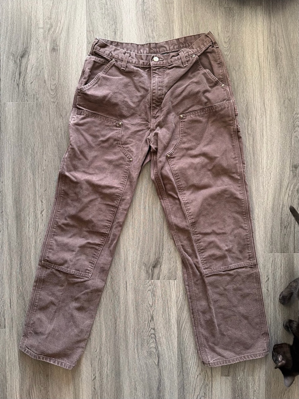Carhartt Men's Cargo Work Pants in Brown